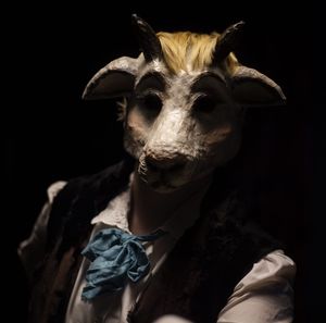 Meet your Posher, Raven